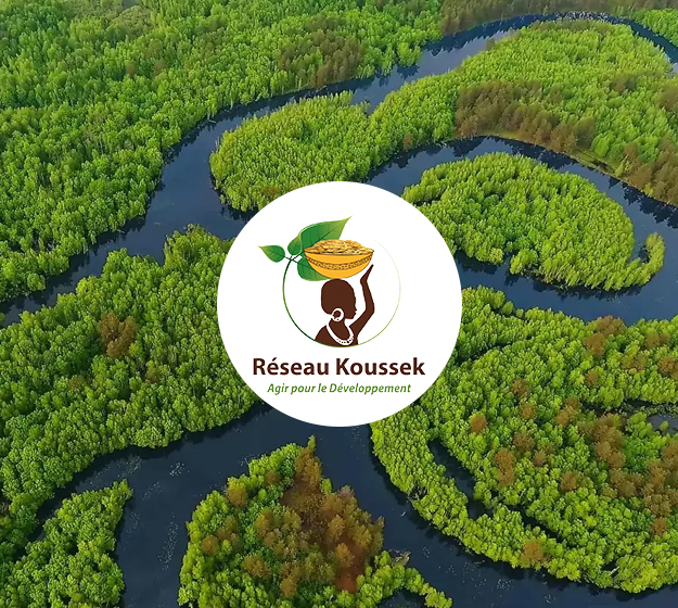 Reseau Koussek